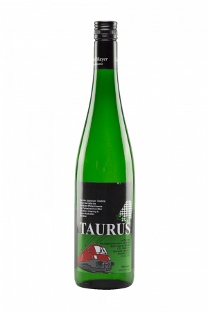 Grüner Veltliner  Kogl  2023