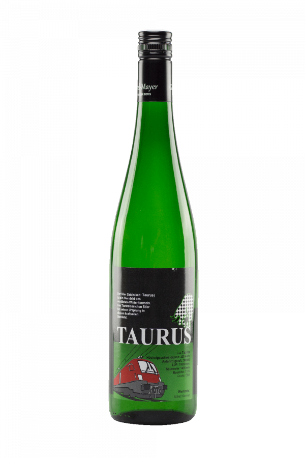 Grüner Veltliner  Kogl  2023